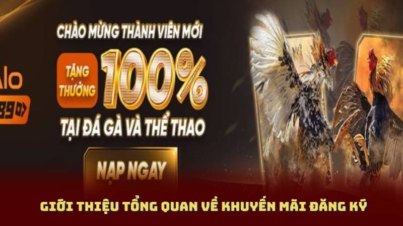 Giới thiệu tổng quan về Khuyến Mãi Đăng Ký